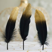 30 pcs Metallic Gold Tip Natural Goose Feathers