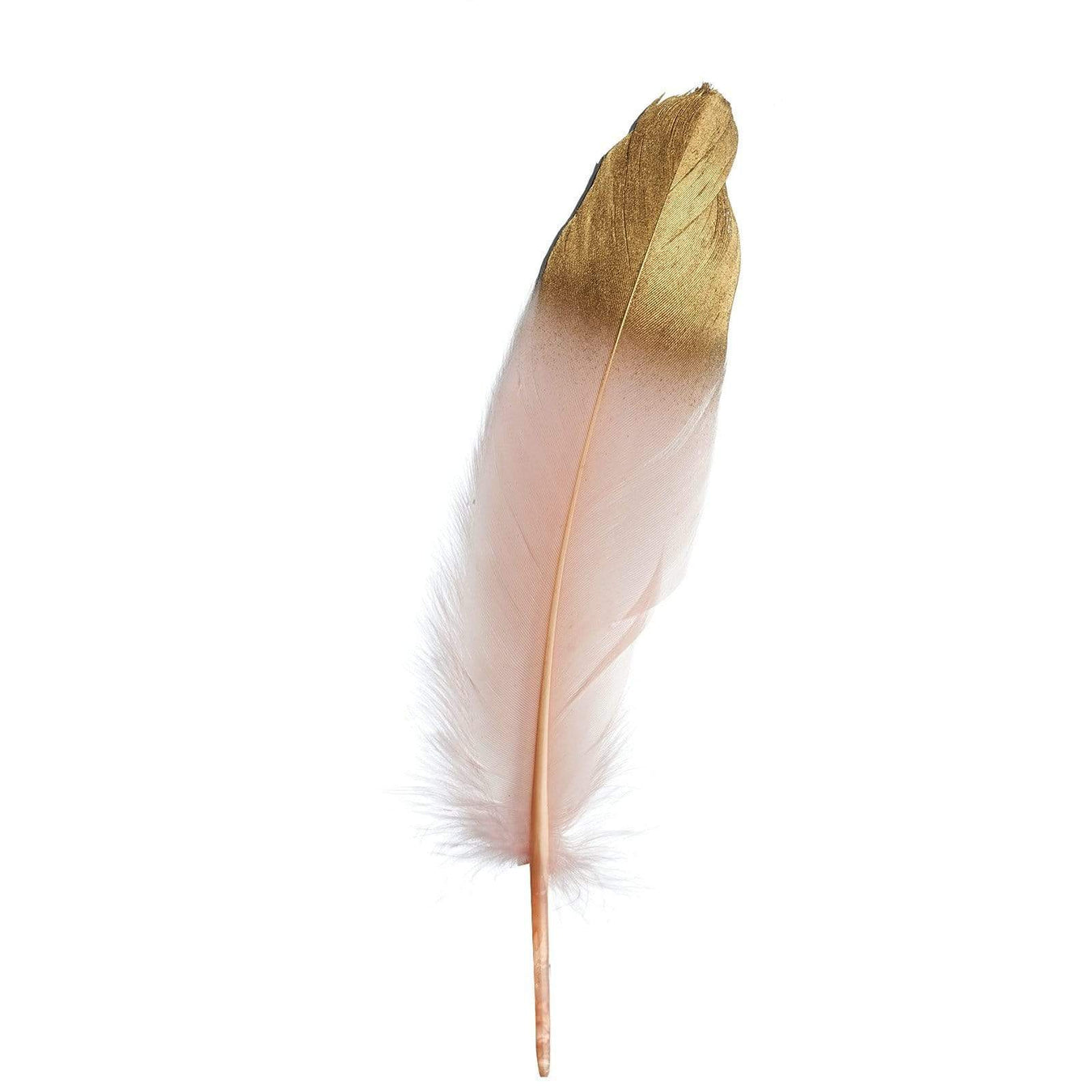 Metallic Gold Tip Natural Goose Feathers