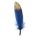 30 pcs Metallic Gold Tip Natural Goose Feathers OST_LEAF02G_NAVY