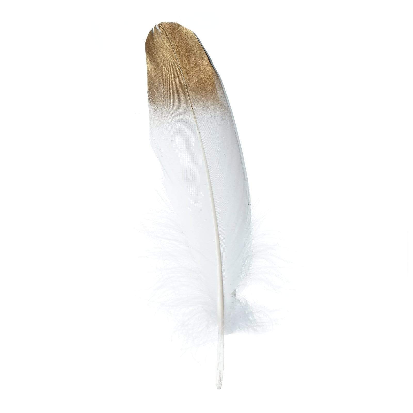 30 pcs Metallic Gold Tip Natural Goose Feathers OST_LEAF02G_WHT