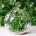 4 Glass Floating Terrariums Wedding Party Centerpieces - Globe GLAS_RND04_CLR