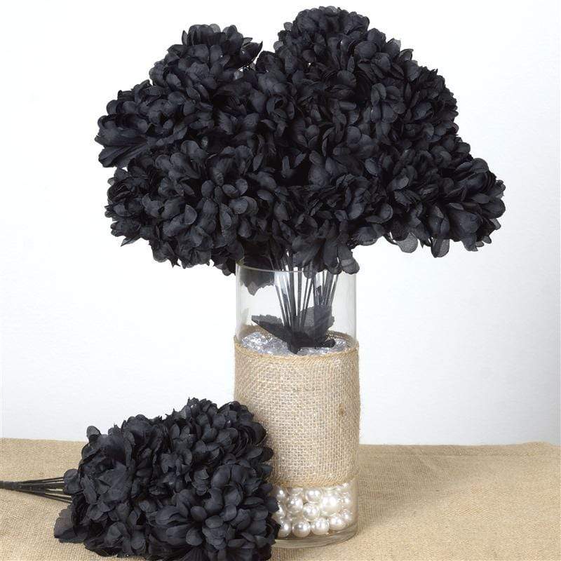 4 Large Chrysanthemum Mums Bushes ARTI_9043_BLK