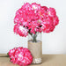 4 Large Chrysanthemum Mums Bushes ARTI_9043_FUSH