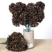 4 Large Chrysanthemum Mums Bushes - Black ARTI_9043_CHOC