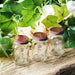 4 pcs 4 oz Glass Mason Mini Jars with Lids - Clear and Rose Gold GLAS_JAR03RG_CLR