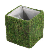 4 pcs 6"x6" Natural Moss Square Planter Boxes - Green MOSS_PLNT_024_6_GRN