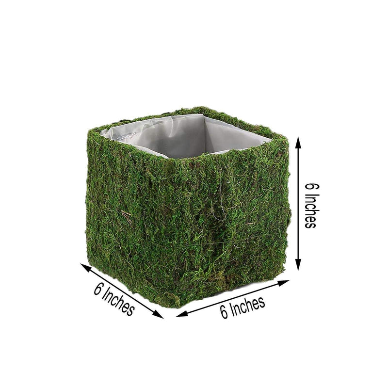 4 pcs 6"x6" Natural Moss Square Planter Boxes - Green MOSS_PLNT_024_6_GRN