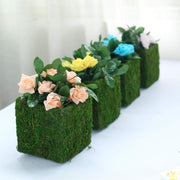 4 pcs 6"x6" Natural Moss Square Planter Boxes - Green MOSS_PLNT_024_6_GRN