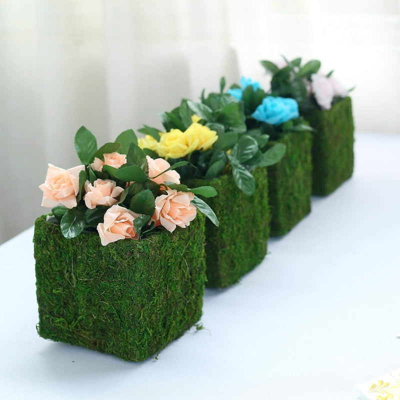 4 pcs 6"x6" Natural Moss Square Planter Boxes - Green MOSS_PLNT_024_6_GRN