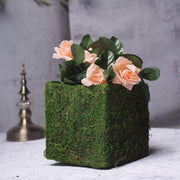 4 pcs 6"x6" Natural Moss Square Planter Boxes - Green MOSS_PLNT_024_6_GRN