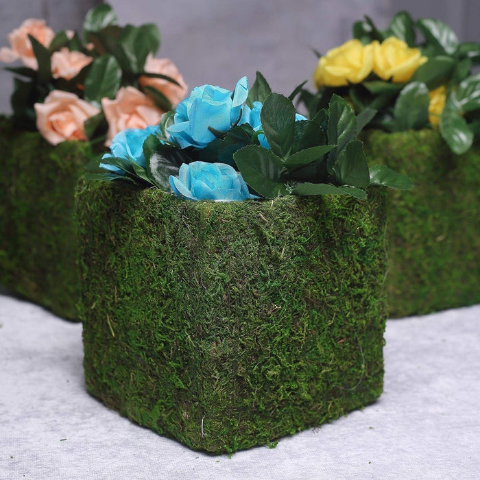 4 pcs 6"x6" Natural Moss Square Planter Boxes - Green MOSS_PLNT_024_6_GRN
