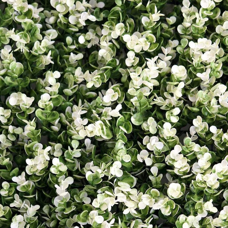 4 pcs Artificial Boxwood Leaves Foliage UV Protected Wall Backdrop Panels 11 sq ft - Green and White ARTI_5062_GRN_19