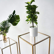 4 Plexiglass Sheets Square Acrylic Sign Boards Set