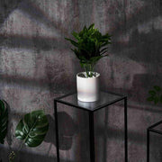 4 Plexiglass Sheets Square Acrylic Sign Boards Set