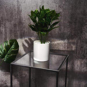 4 Plexiglass Sheets Square Acrylic Sign Boards Set