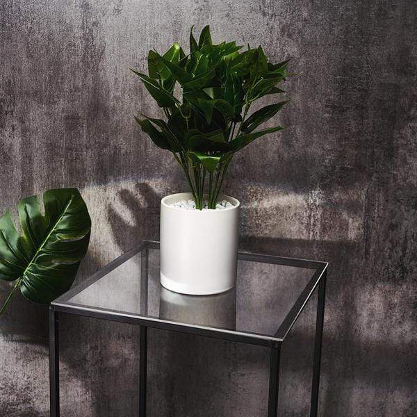 4 Plexiglass Sheets Square Acrylic Sign Boards Set