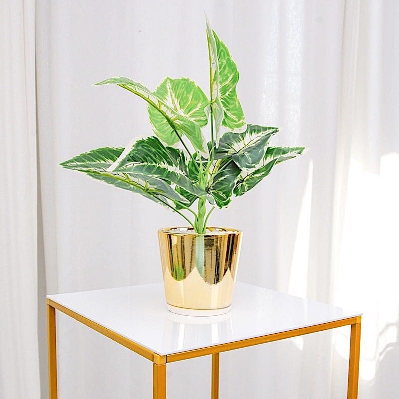 4 Plexiglass Sheets Square Acrylic Sign Boards Set