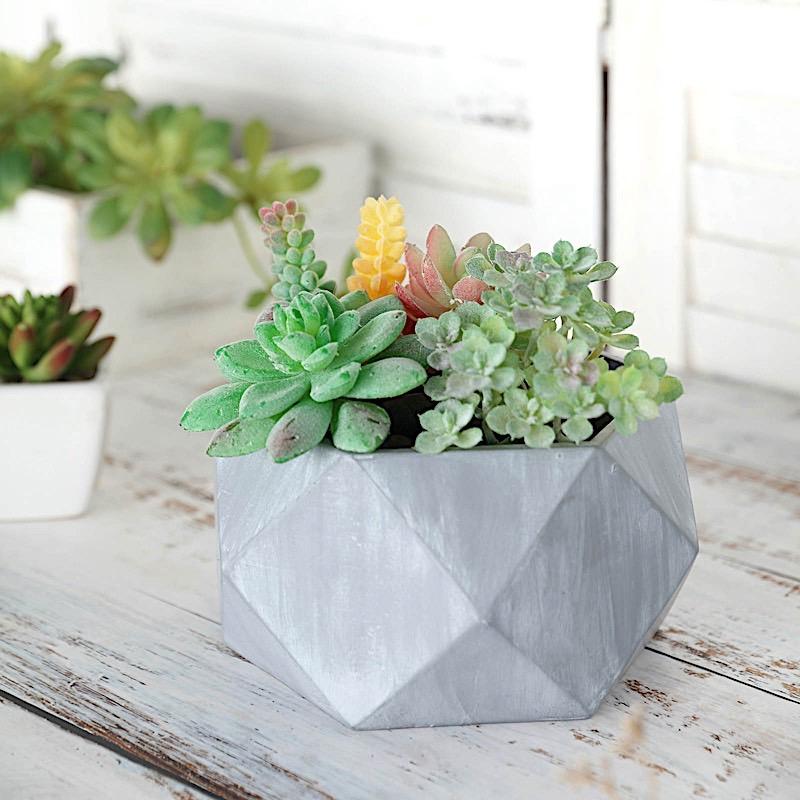 succulent concrete pots Gray 4 in tall Concrete Flower Plant Pot Geometric Mini Planter