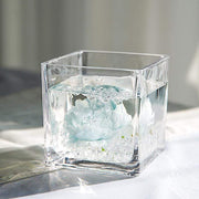 4" wide Cube Glass Vase - Clear VASE_A2