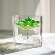 4" wide Cube Glass Vase - Clear VASE_A2