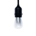 48 ft long 18 Incandescent Bulbs String Lights Garland - Warm White LED_BALL12_48FT_CLR