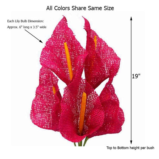 5 Burlap Large Calla Lilies Bushes