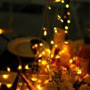 5 ft long LED Icicle Fairy String Lights Garland Curtain Backdrop LEDSTR03_5X8_CLR