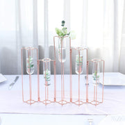 5 Jointed Geometric Flower Vase Holders with Glass Test Tubes