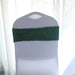 5 pcs Glittered Spandex Chair Sashes SASHP_23_HUNT