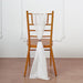 5 pcs Premium Chiffon Wide Chair Sashes SASHP_24_BURG