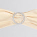 5 pcs Spandex Chair Sashes with Silver Round Buckle Brooches SASHP_SPX03_081