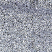 5 pcs Spandex Sequined Chair Sashes