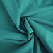 5 Polyester Napkins 17" x 17" - Turquoise NAP_OSC_TURQ