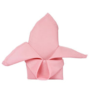 5 Polyester Napkins 20" x 20" NAP_PLY_019