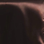 5 Satin Chair Sashes Bows Ties Wedding Decorations