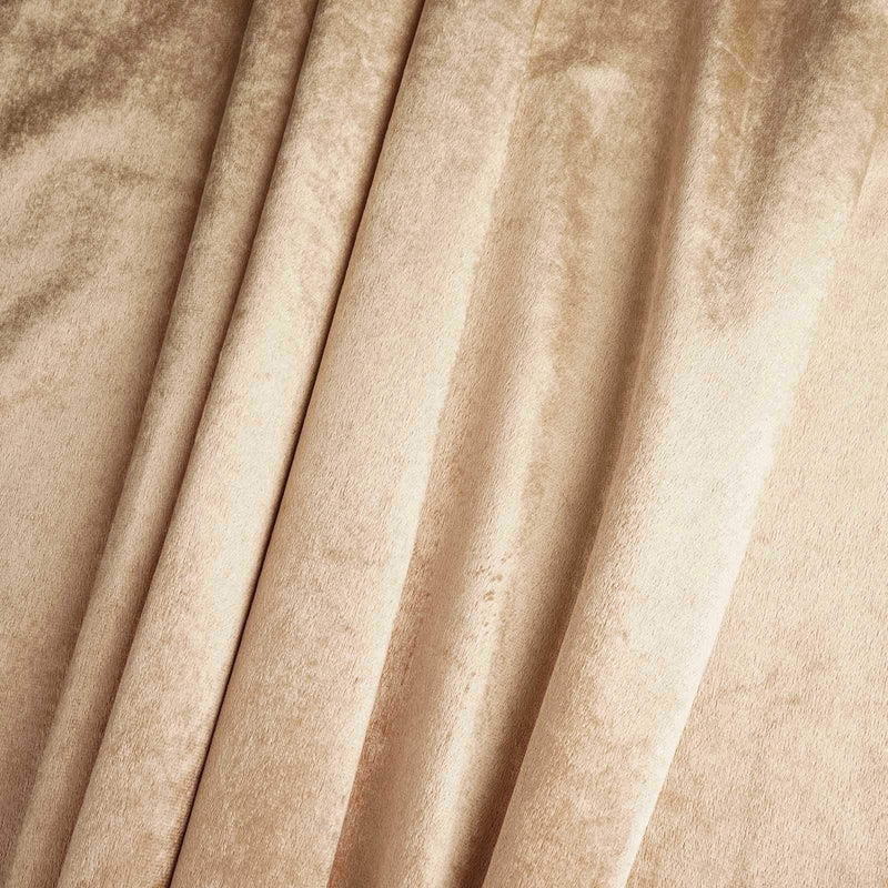 5 yards 65" wide Premium Velvet Fabric Bolt FAB_VEL_65X5_CHMP