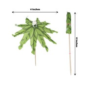 50 Natural Bamboo 6" Sustainable Skewers Picks with Leaf Parasol Design - Green DSP_BIRC_P017
