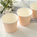 50 Round 10 oz Blush Dessert Paper Cups Ice Cream Bowls - Disposable Tableware DSP_PPBO_001_10_046