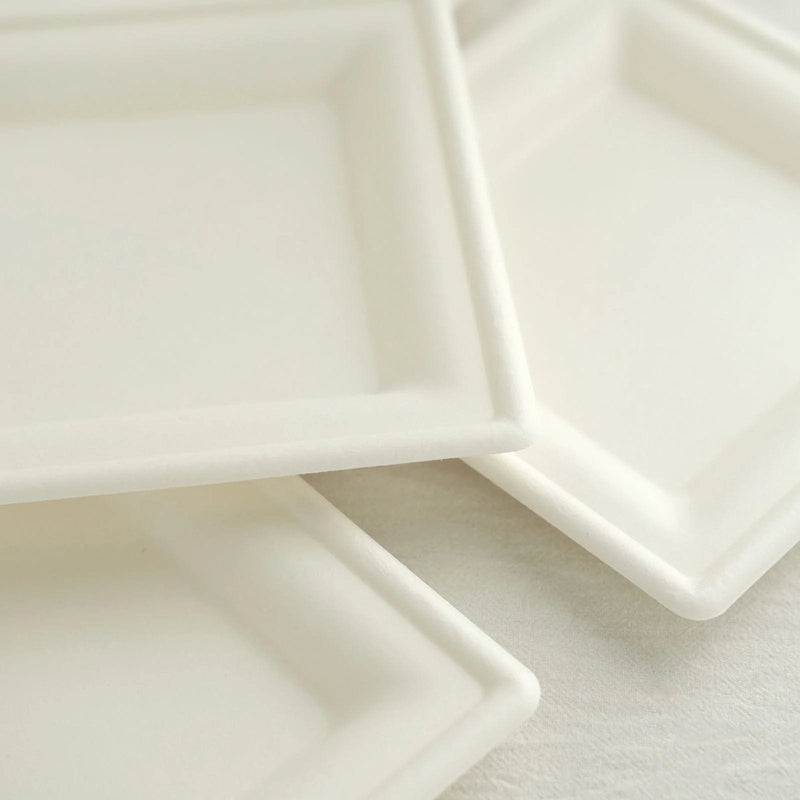 50 Square 6" White Bagasse Sustainable Salad Plates - Disposable Tableware DSP_PPS0012_6_WHT