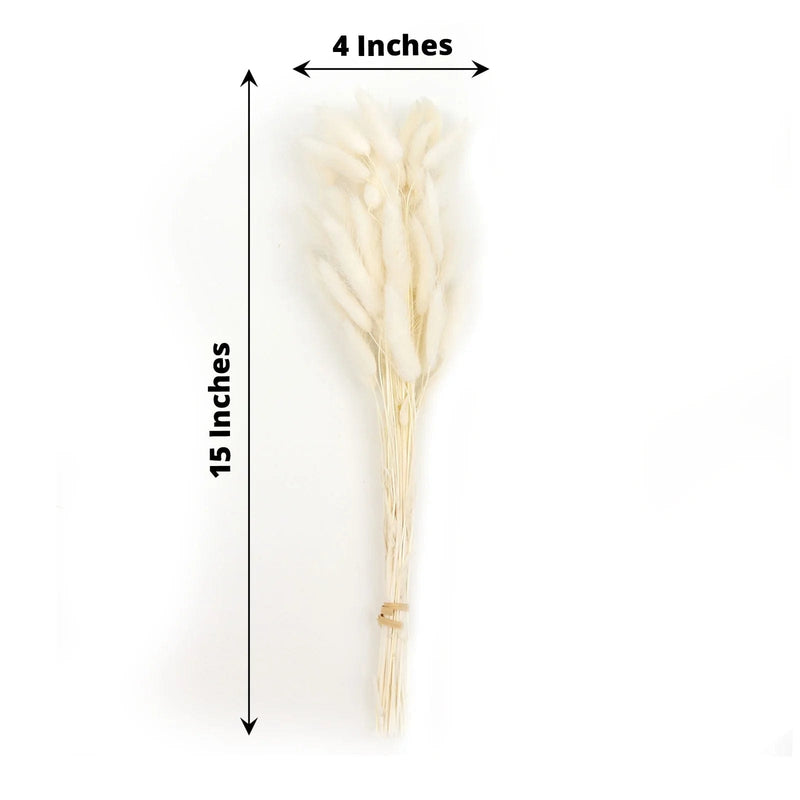 50 Stems 15" Rabbit Tail Dried Natural Pampas Grass Sprays