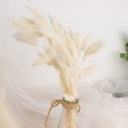 50 Stems 15" Rabbit Tail Dried Natural Pampas Grass Sprays