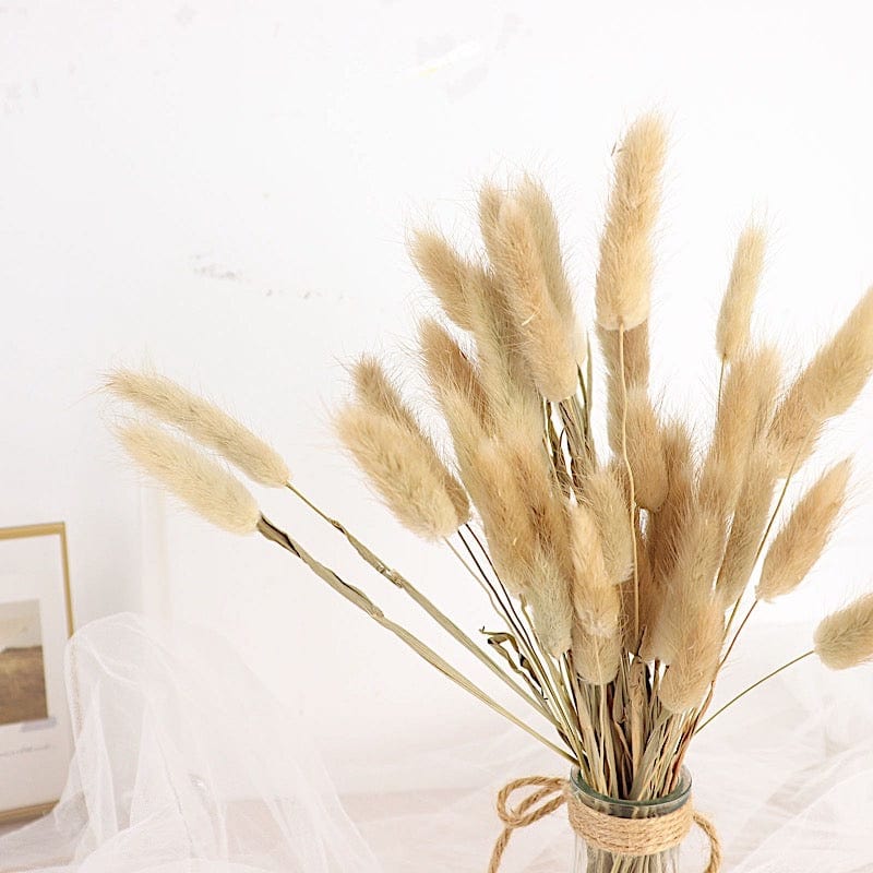 50 Stems 15" Rabbit Tail Dried Natural Pampas Grass Sprays