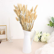 50 Stems 15" Rabbit Tail Dried Natural Pampas Grass Sprays