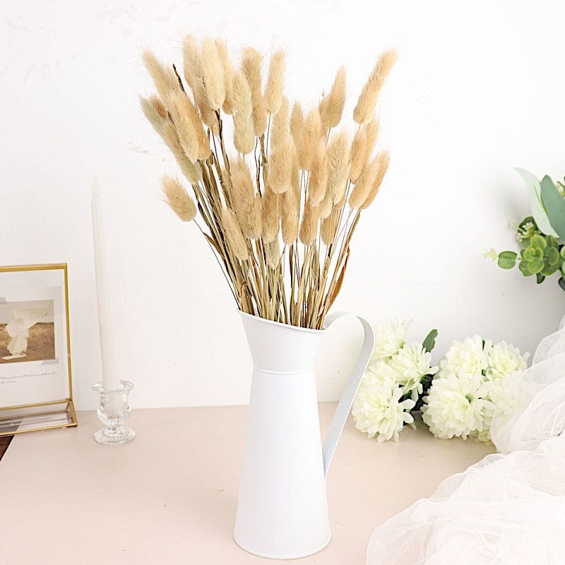 50 Stems 15" Rabbit Tail Dried Natural Pampas Grass Sprays
