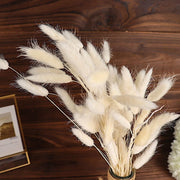 50 Stems 15" Rabbit Tail Dried Natural Pampas Grass Sprays