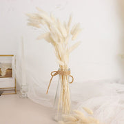 50 Stems 15" Rabbit Tail Dried Natural Pampas Grass Sprays