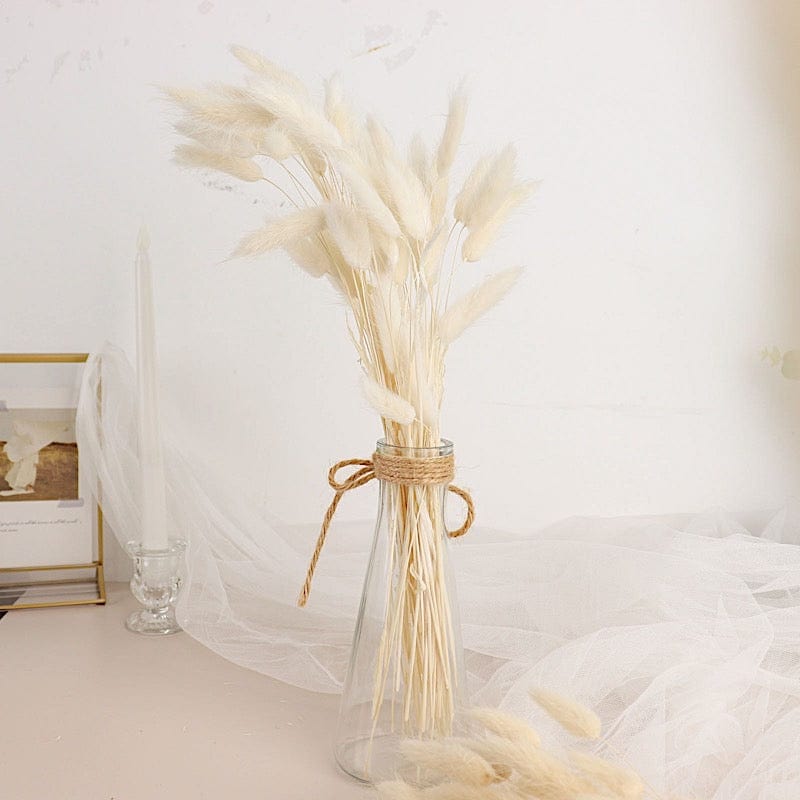 50 Stems 15" Rabbit Tail Dried Natural Pampas Grass Sprays