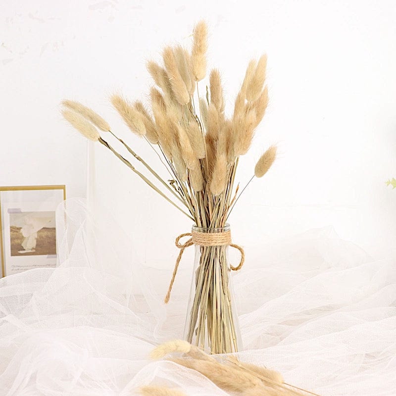 50 Stems 15" Rabbit Tail Dried Natural Pampas Grass Sprays