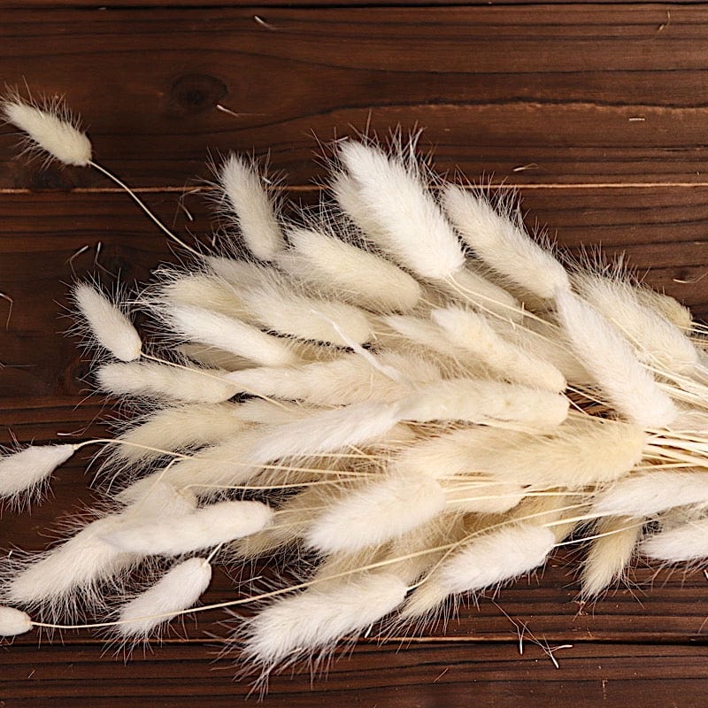 50 Stems 15" Rabbit Tail Dried Natural Pampas Grass Sprays