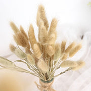 50 Stems 15" Rabbit Tail Dried Natural Pampas Grass Sprays